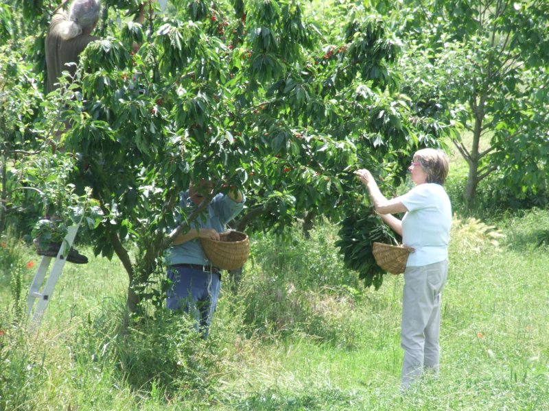 Agriturismo Podere PratoVecchio