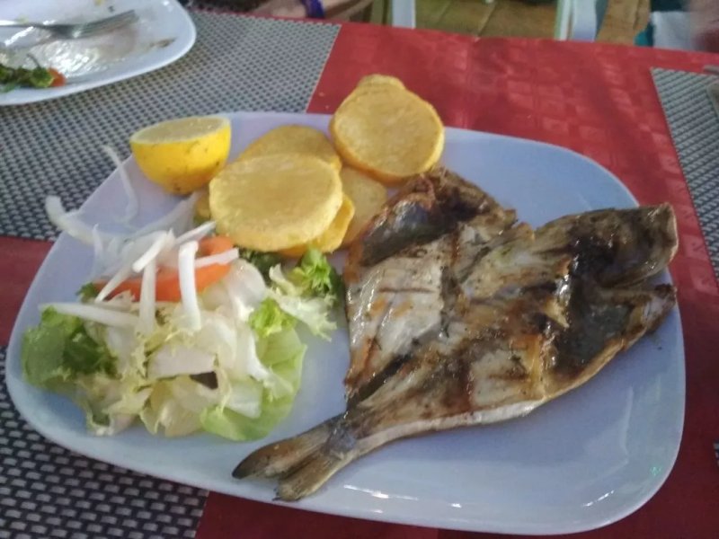 Restaurante the Garden