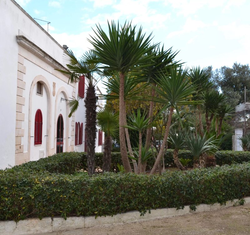 Masseria Saggiomo