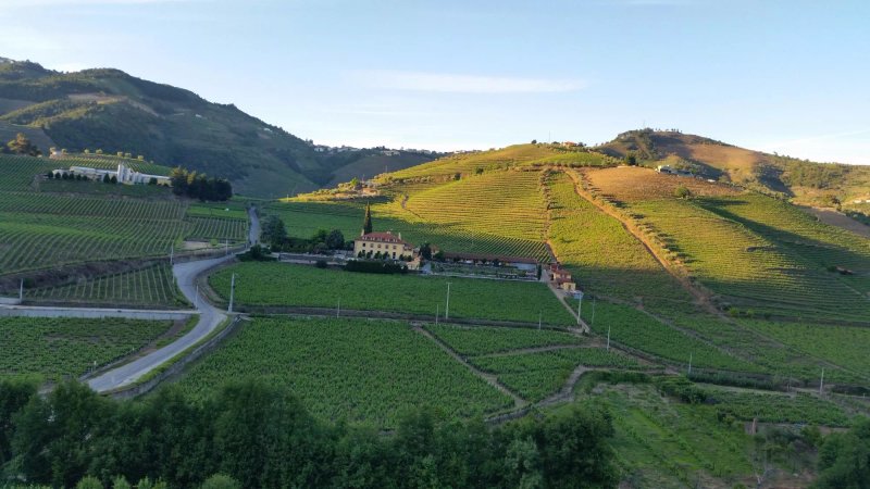 Solar Quinta da Portela