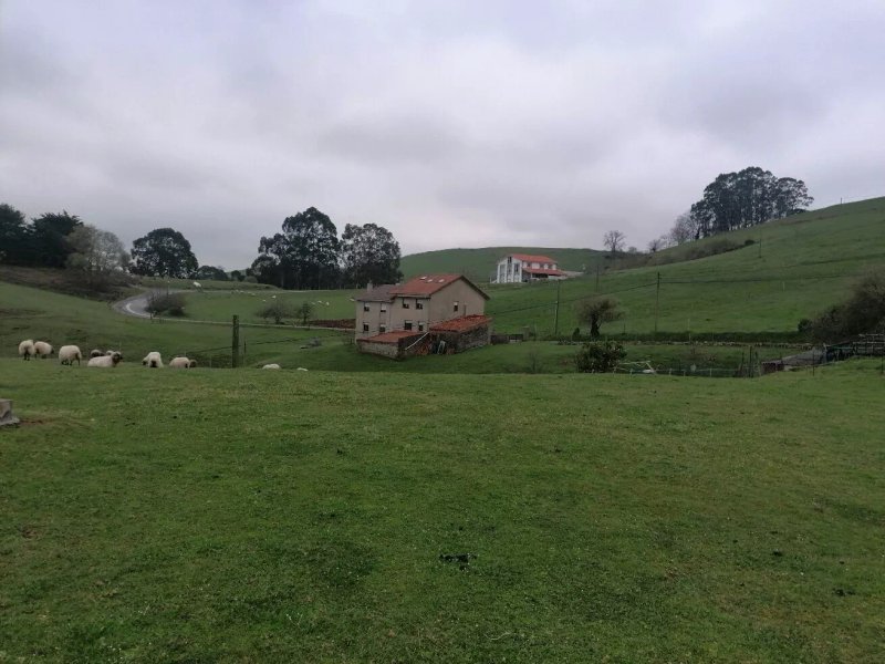 Posada de Ajo