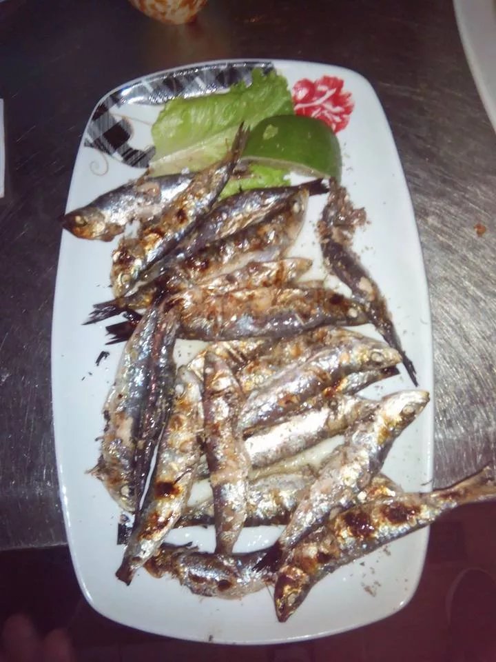 The Shell Fish Tavern - Ouzeri