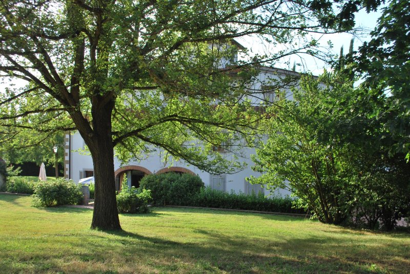 Villa il Cedro