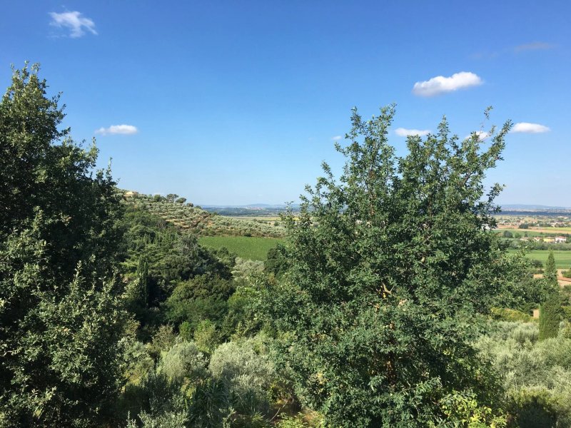 Azienda Fontelunga