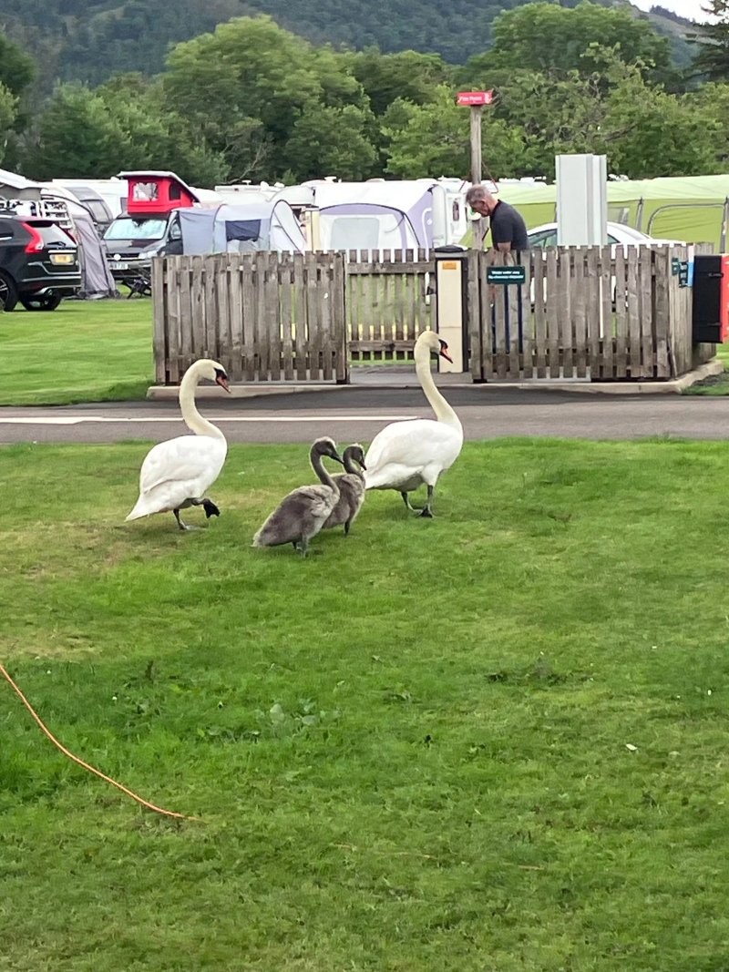 Keswick Camping and Caravanning Club Site