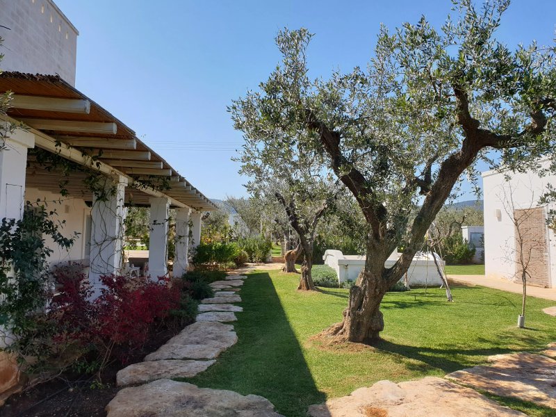 Masseria Spesseto