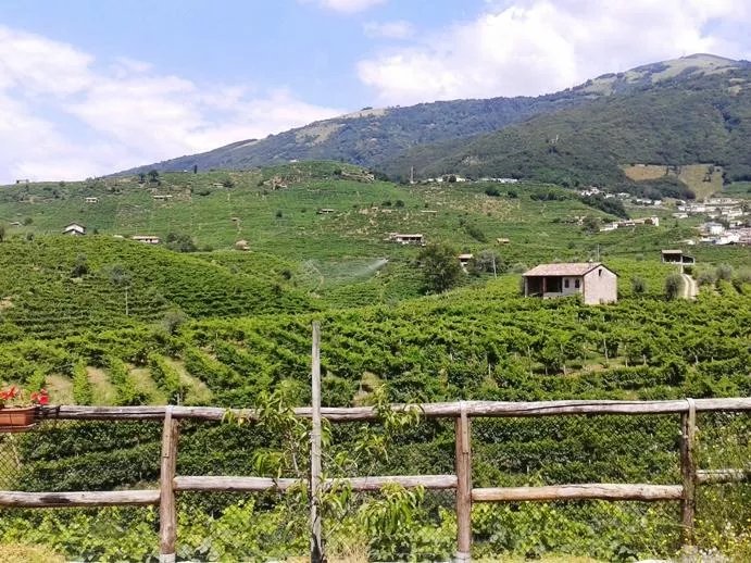 La Casa Vecchia