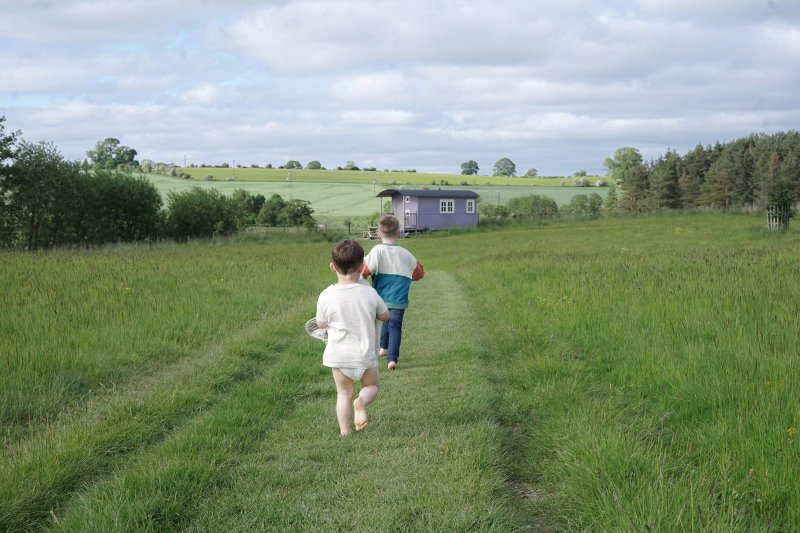 Westfield House Farm Bed and Breakfast