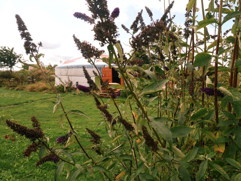 Mini Camping Johanna’s Bos