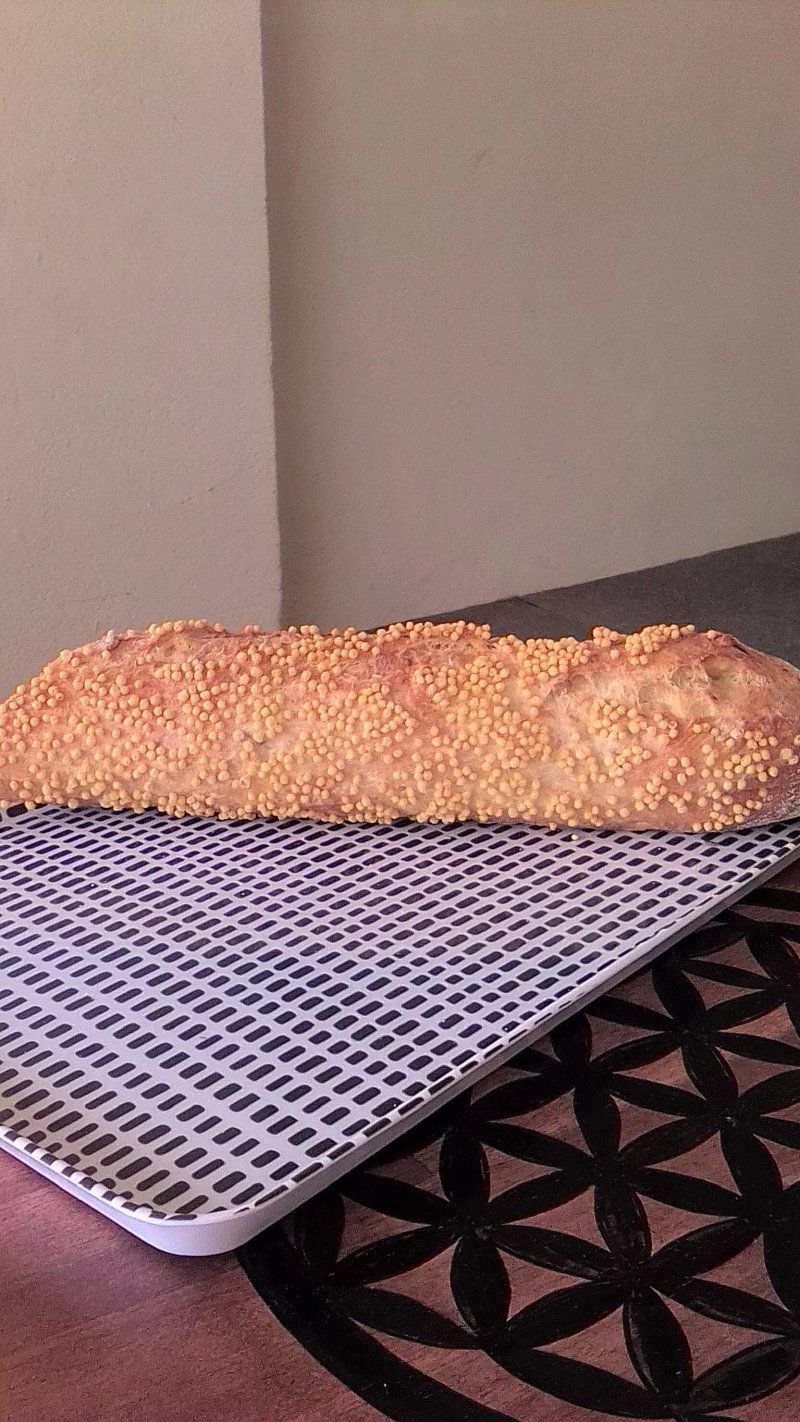 La sixieme heure du jour