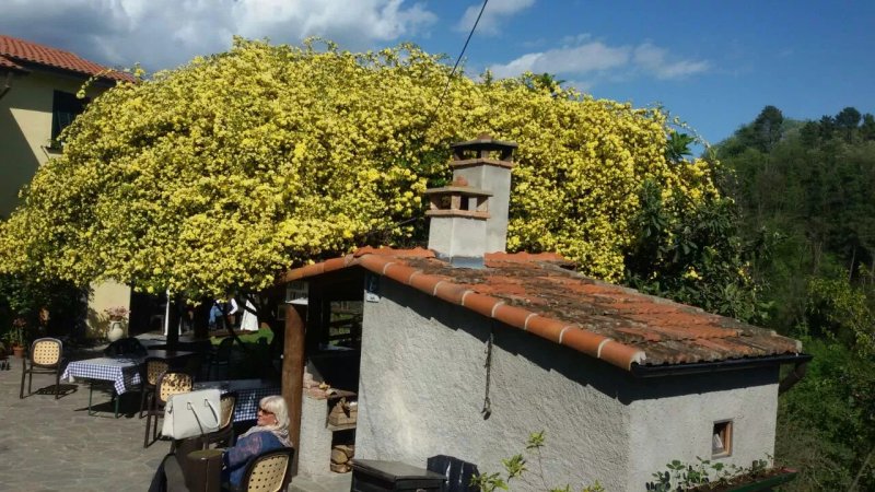 Agriturismo Rimosi
