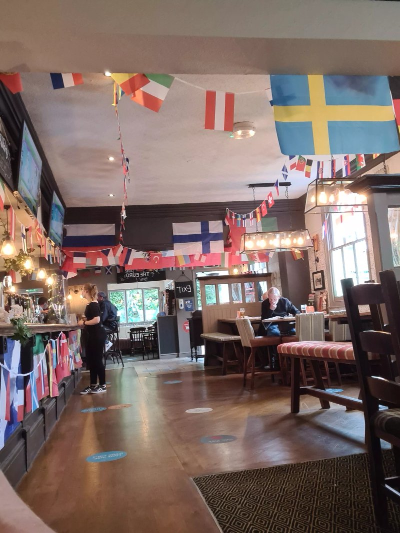 The Swan