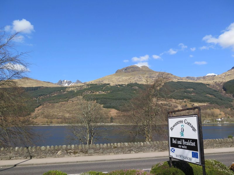 Rowantree Cottage Bed and Breakfast