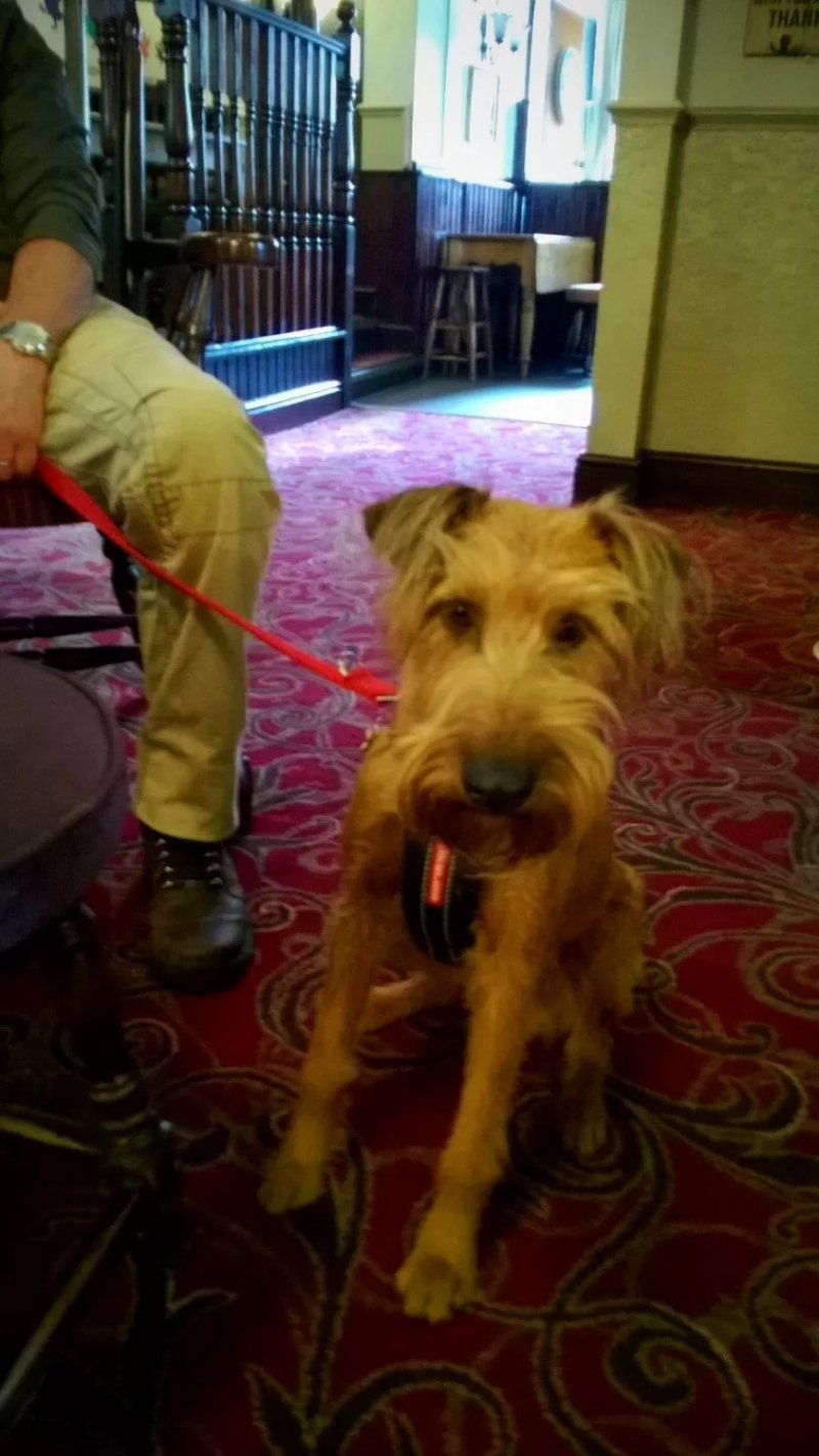 The George & Dragon