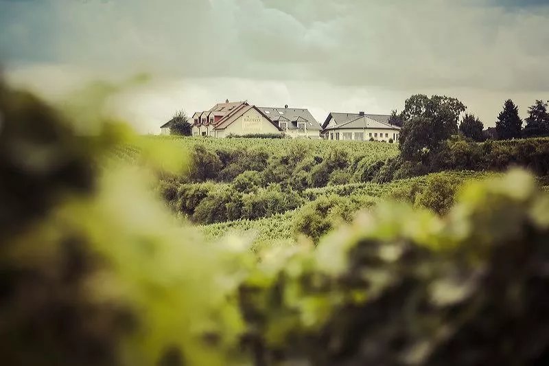 Weingut und Gästehaus Hagemann