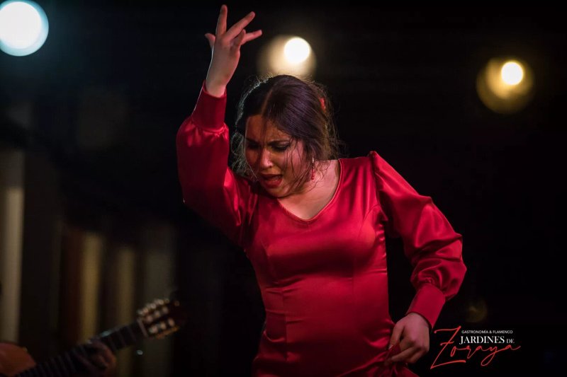 Flamenco Granada - Tablao Jardines de Zoraya