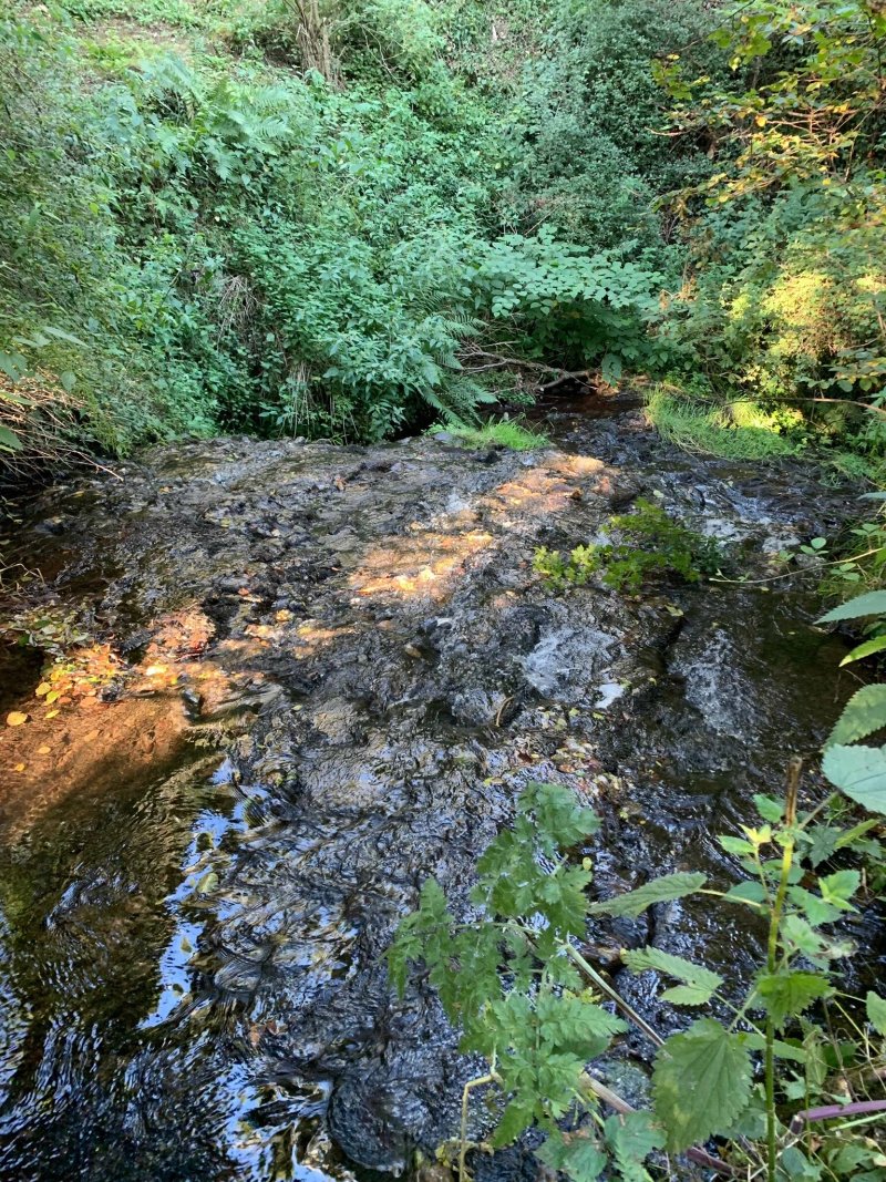 Cascade Des Saliens