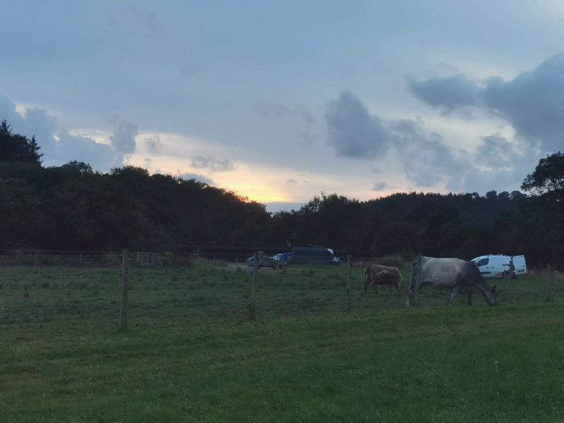 Wolf Meadows Farm Devon