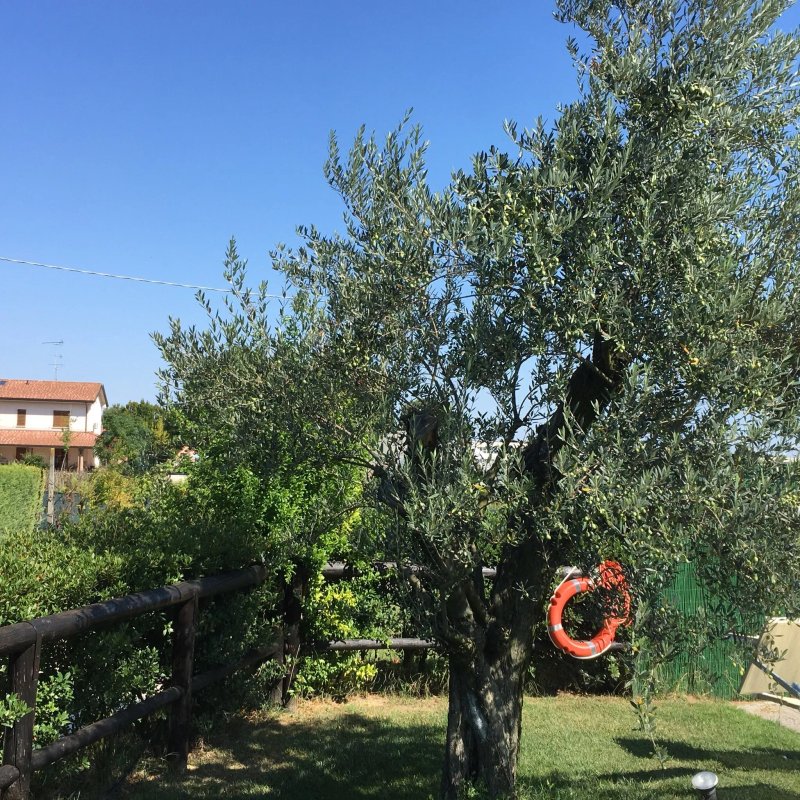 Agriturismo L'Infinito