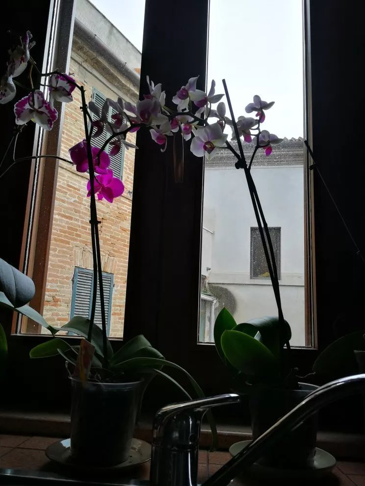 B&B IL Covo Dei Piccioni