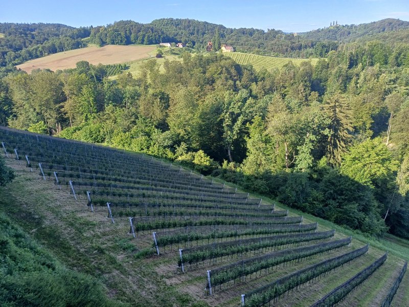 Weingut Gastezimmer Gruber