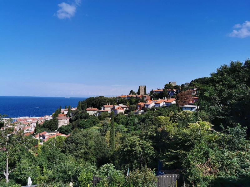 Casa Mia
