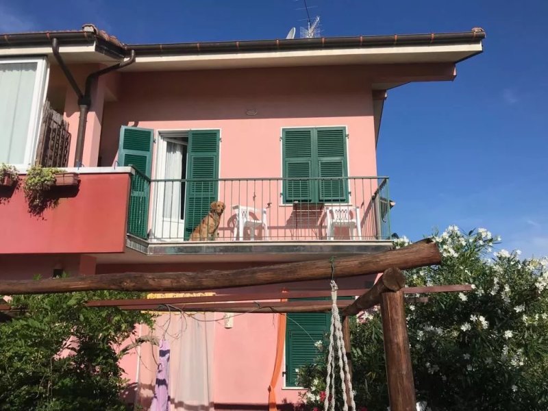 The Pink House