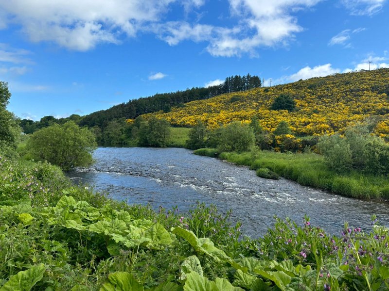 Deveron Valley Cottages And Logcabins