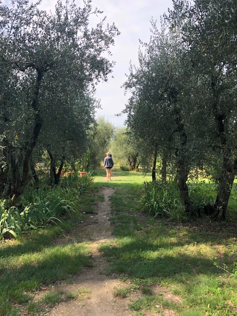 Villa Il Paradisino