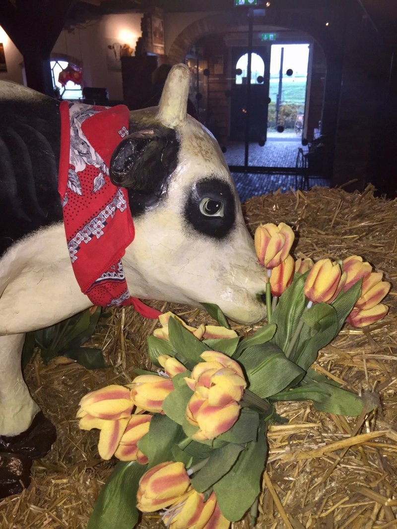 Pannenkoeken Boerderij Leiderdorp