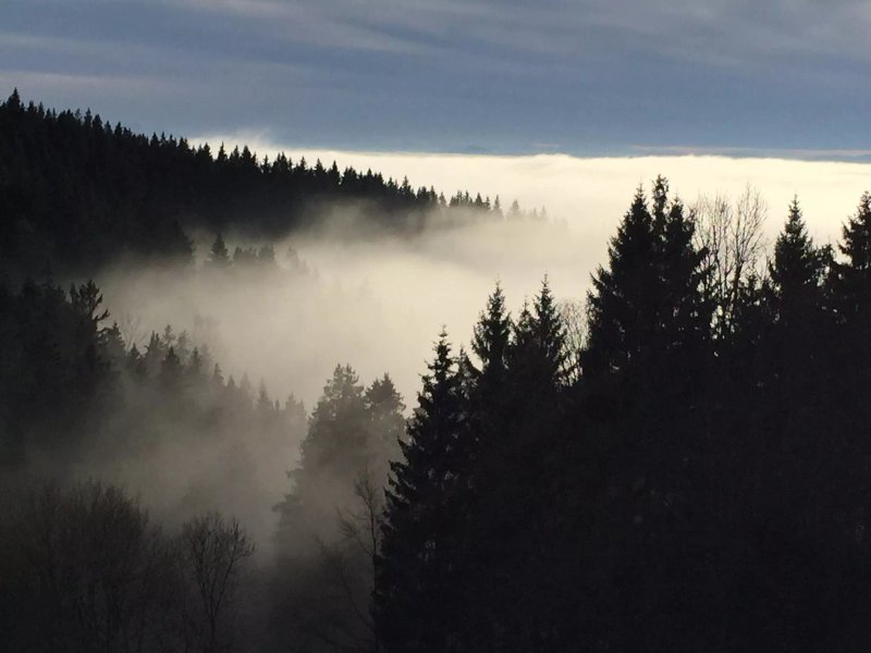 Dreilanderblick Ferienappartements