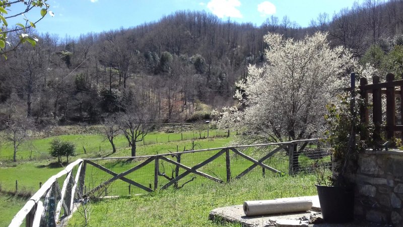 Ristorante dell'Agriturismo Antica Quercia