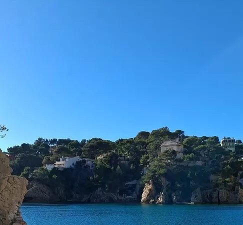 Ecole De Plongee Sous-Marine De Loisir Black Bunny Scuba Dive