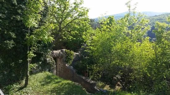 Ruine Rauheneck