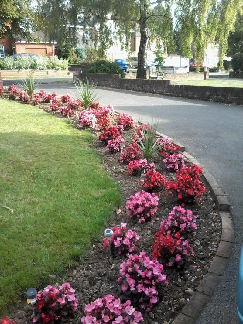 Park House Bed & Breakfast