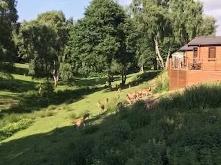 Silver Trees Holiday Park