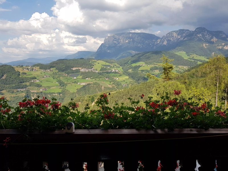Hotel Steineggerhof
