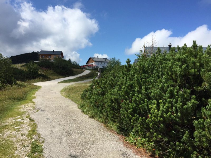 Berggasthof Edelweiss