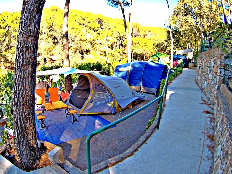 Camping El Maset