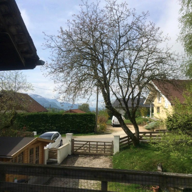 Hotel Auberge Camelia