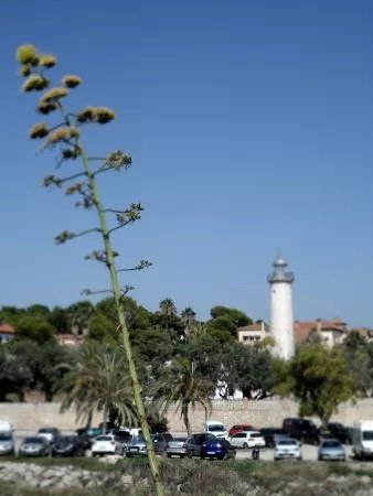 Platja Del Far De Sant Cristofol