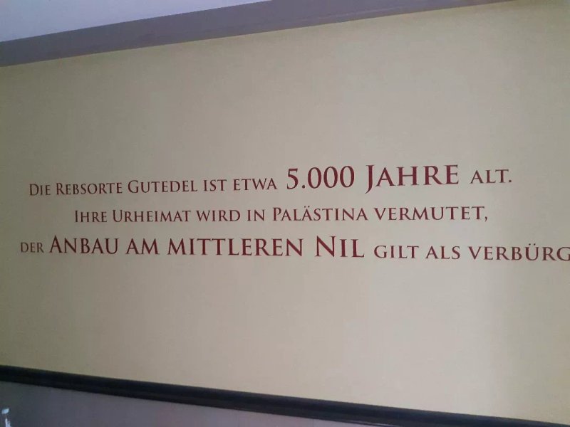 Weinberghotel Edelacker