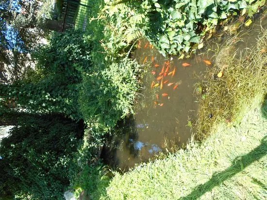 Giardini Fresia