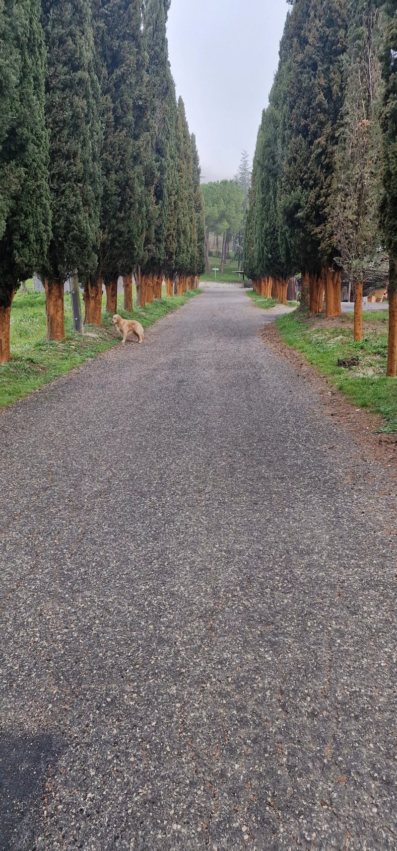Agriturismo La Cerra
