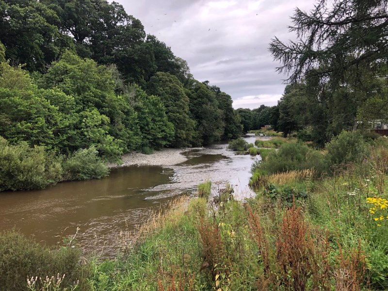 Riverside Caravan Park