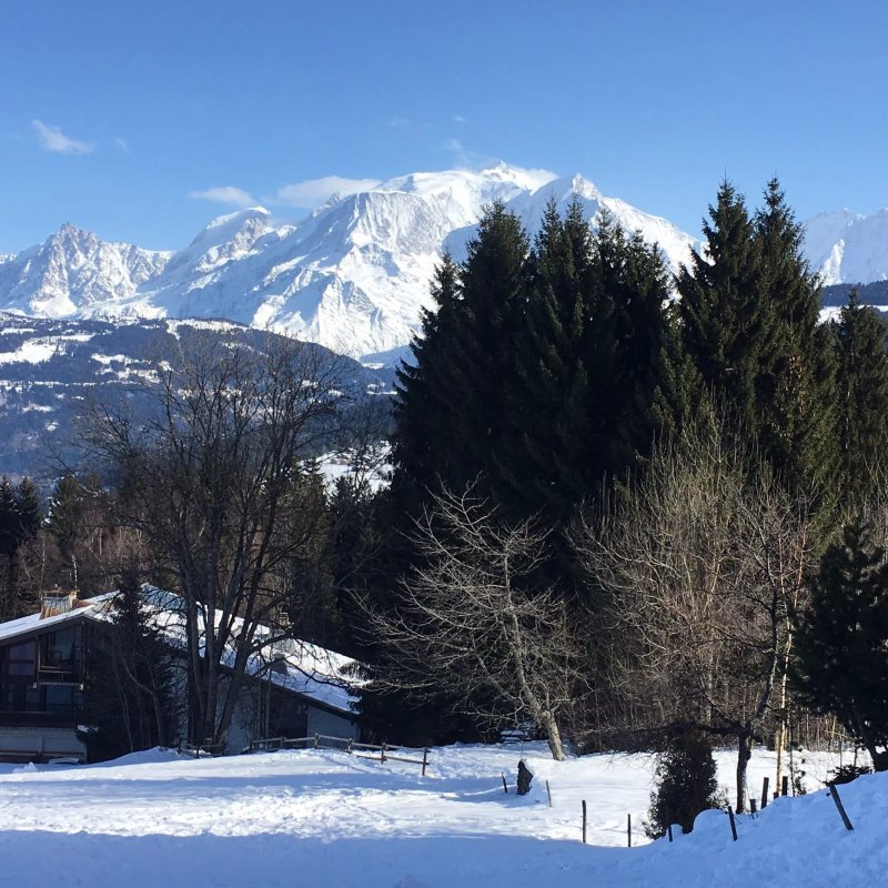 Ski Pros Megeve