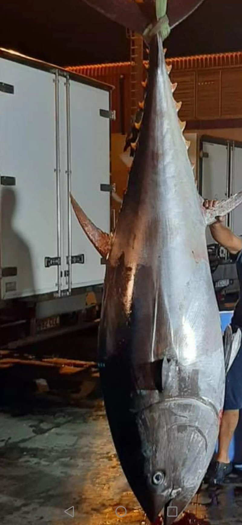 Ristopescheria Angelo Del Mare