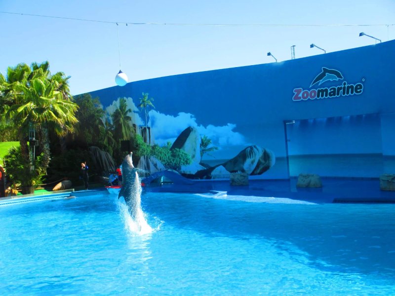Villa Feliz Apartments
