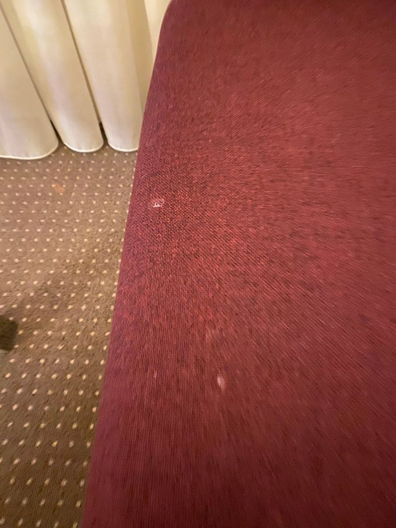 Hotels
