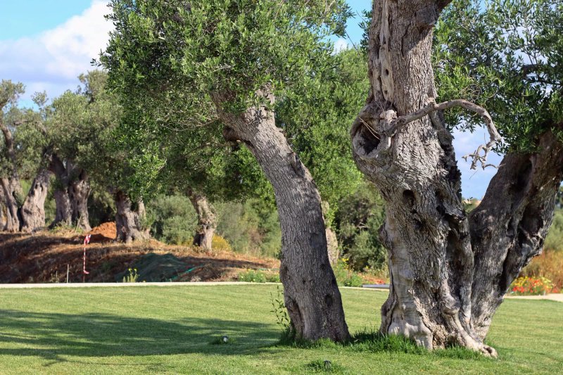 Masseria Stali Ristorante